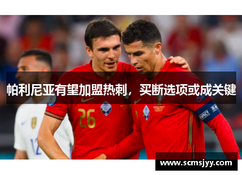 帕利尼亚有望加盟热刺，买断选项或成关键